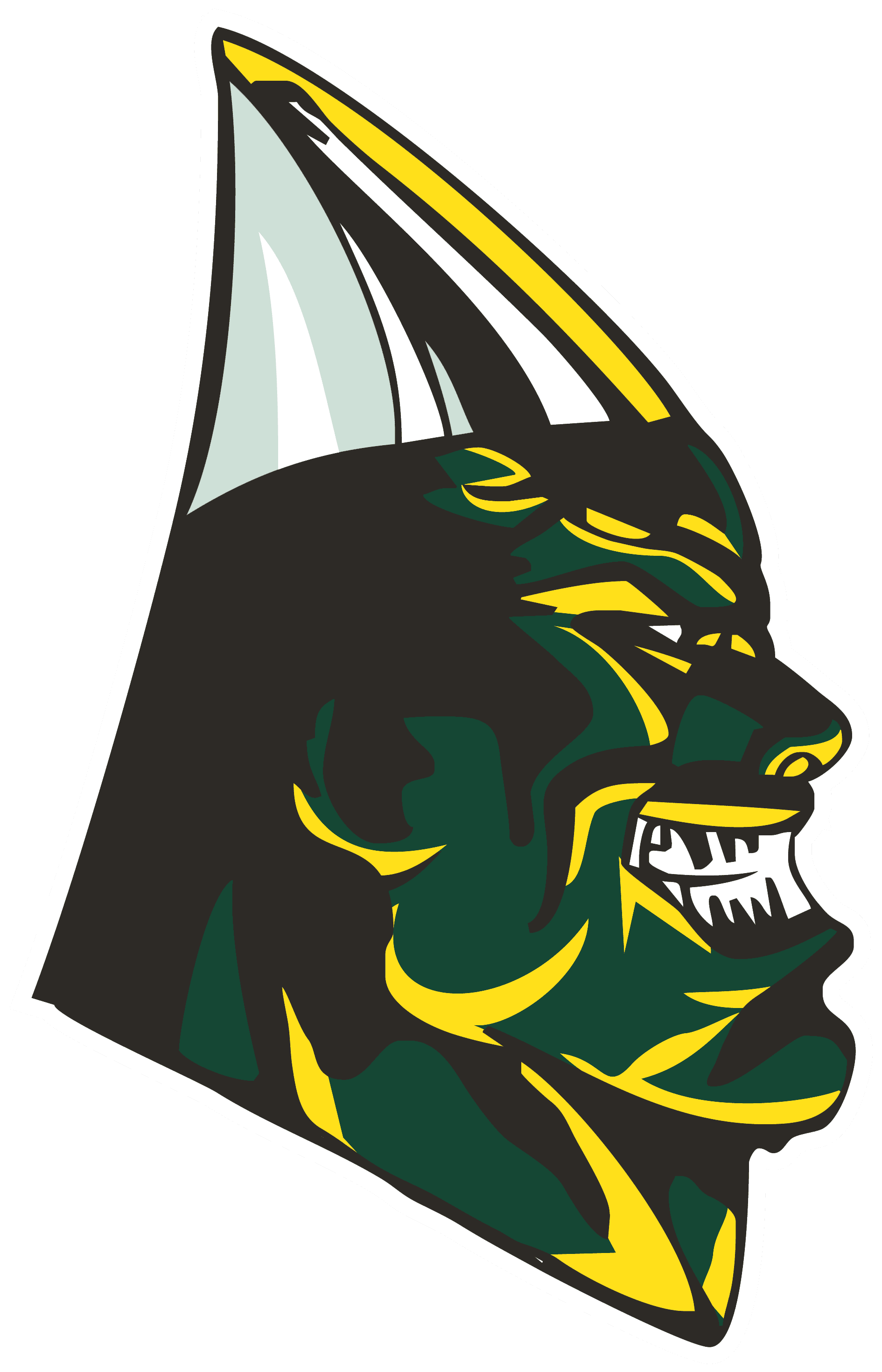 Central Senior High Alumni Association